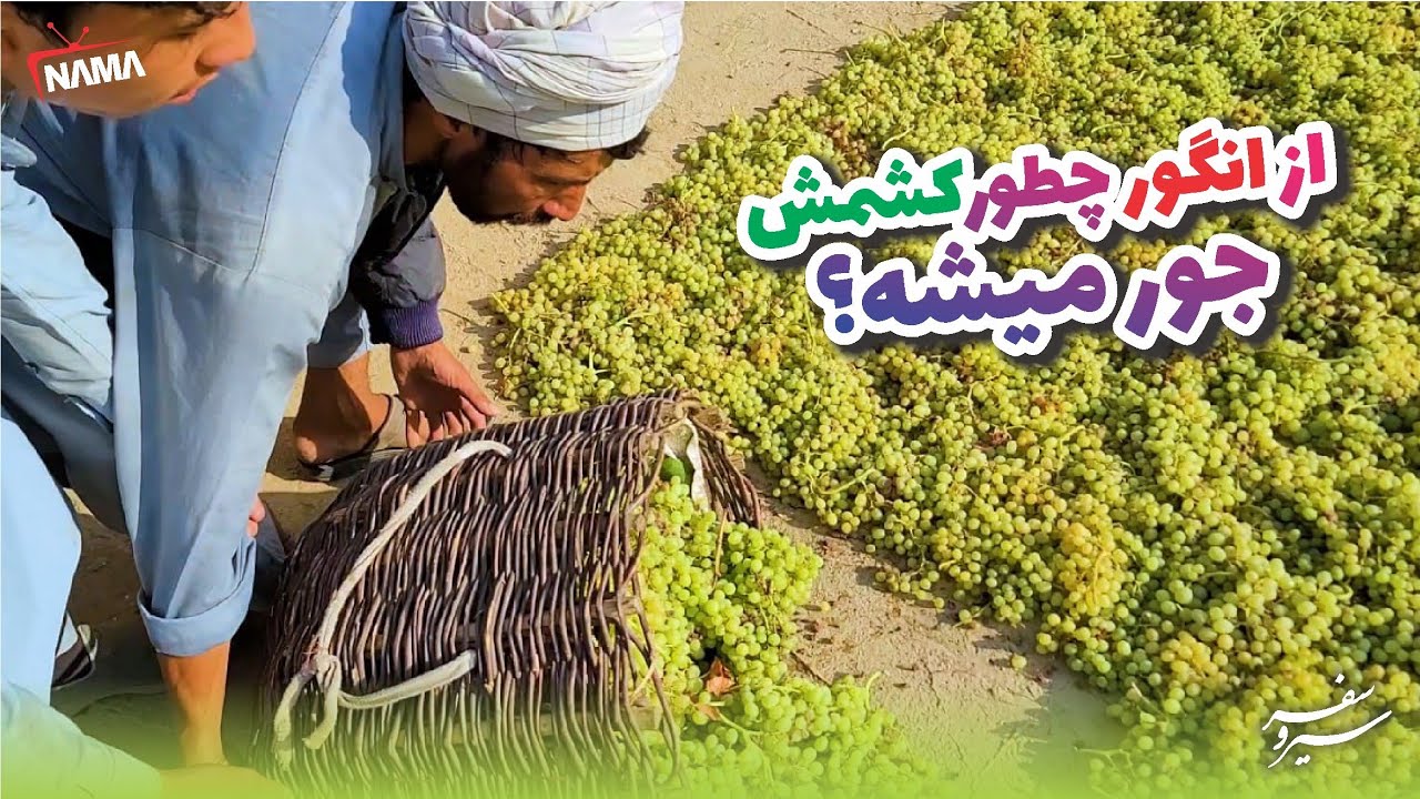 سفر به ده هزاره ولسوالی بگرام | پروان_افغانستان | سیر و سفر