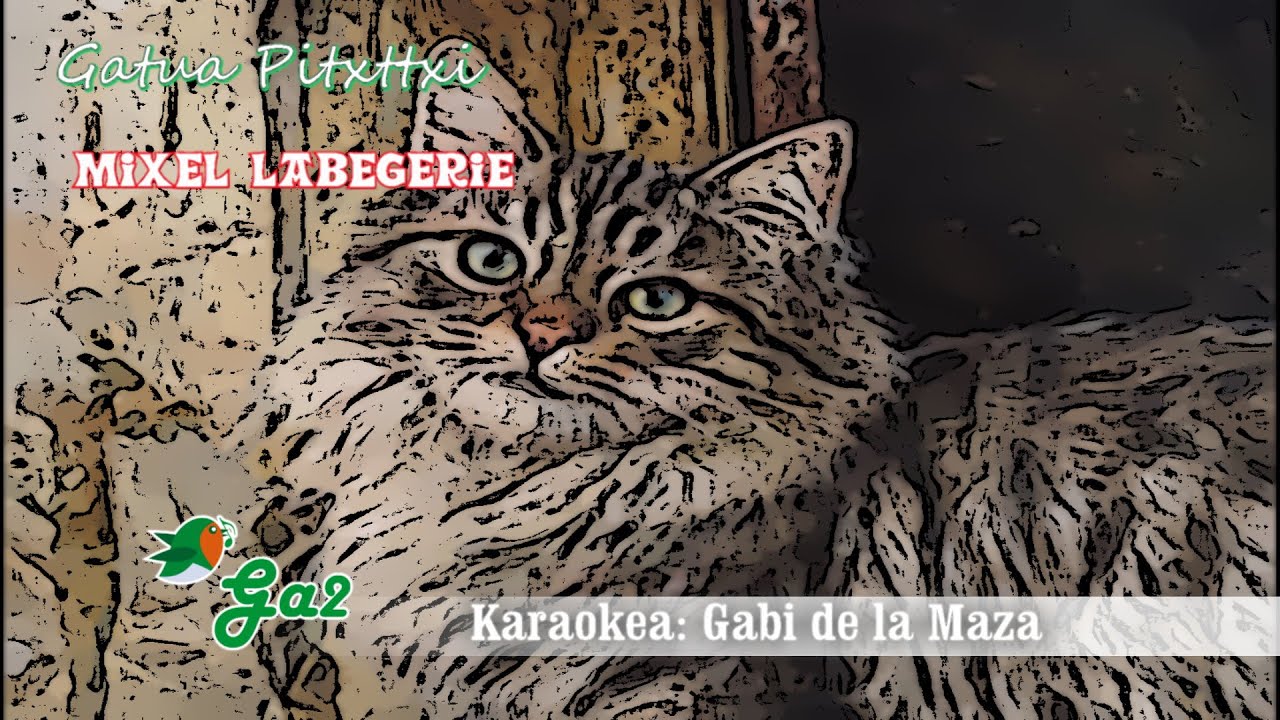 Gatua Pitxitxi (Mixel Labegerie)