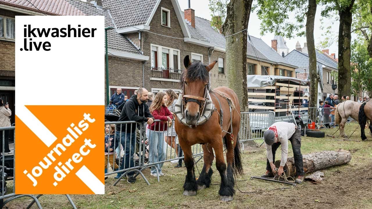 Allerlaatste Paardenmarktfeesten in Kaprijke: Belgische trekpaarden e.a. geven trekdemonstratie
