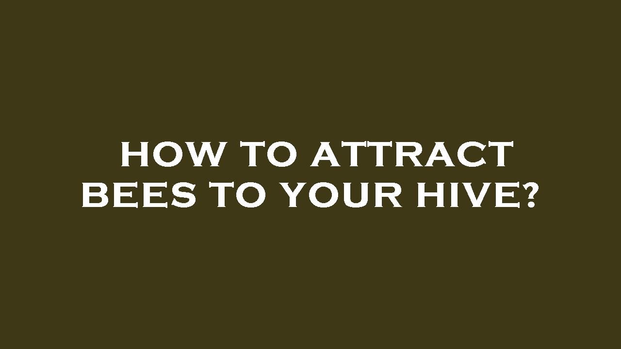 How to attract bees to your hive?