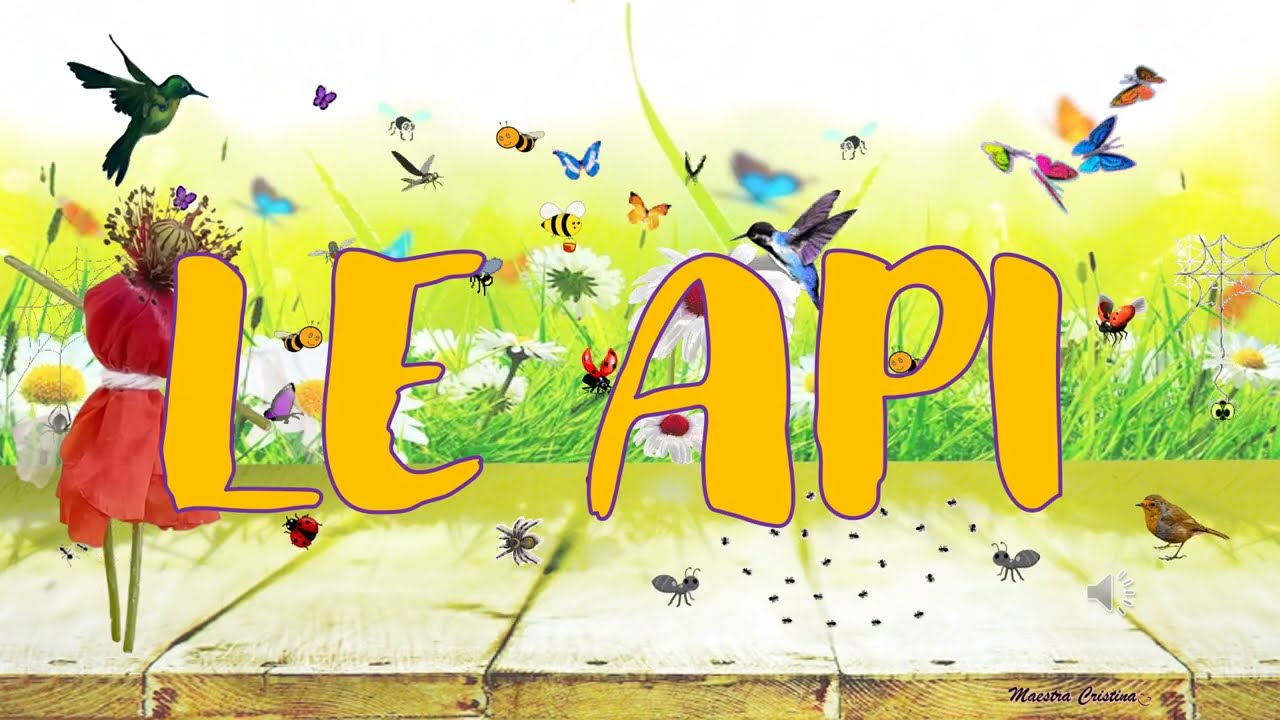 LE API