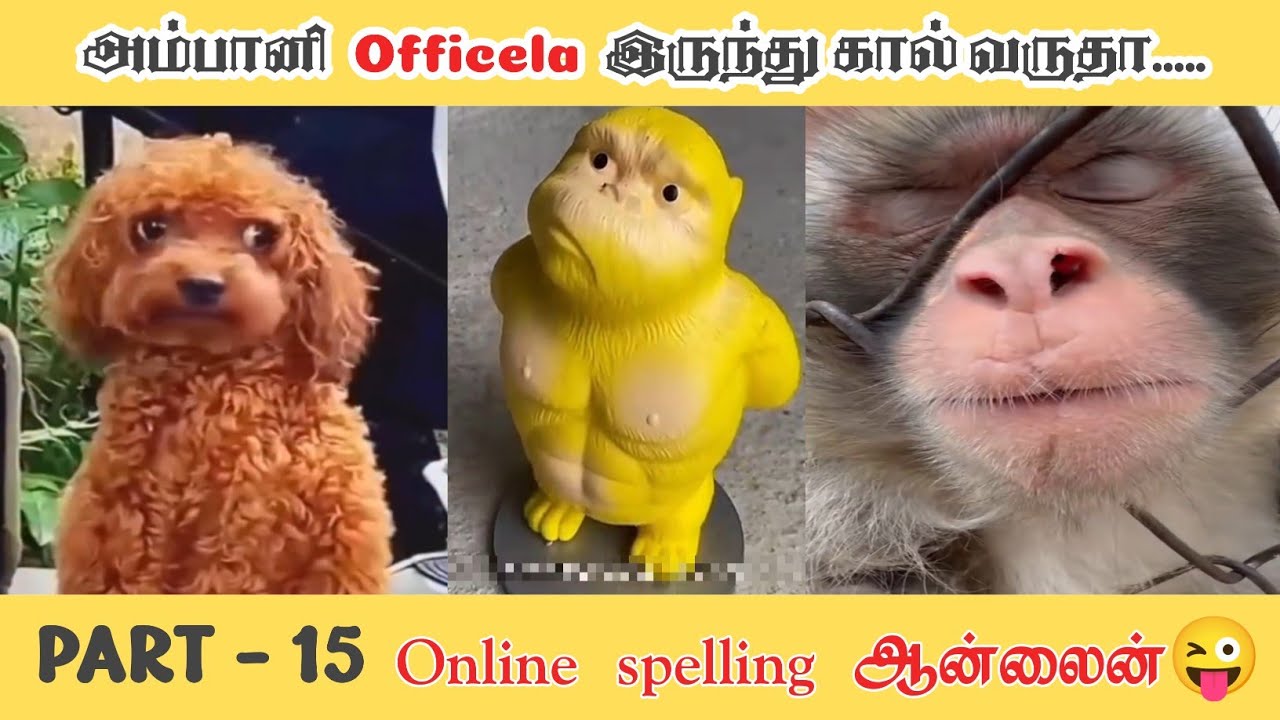 Part -15 || அர்ஜுனர் வில்லு அரிச்சந்திரன் சொல்லு 😂 #@MasterofHumorMH 