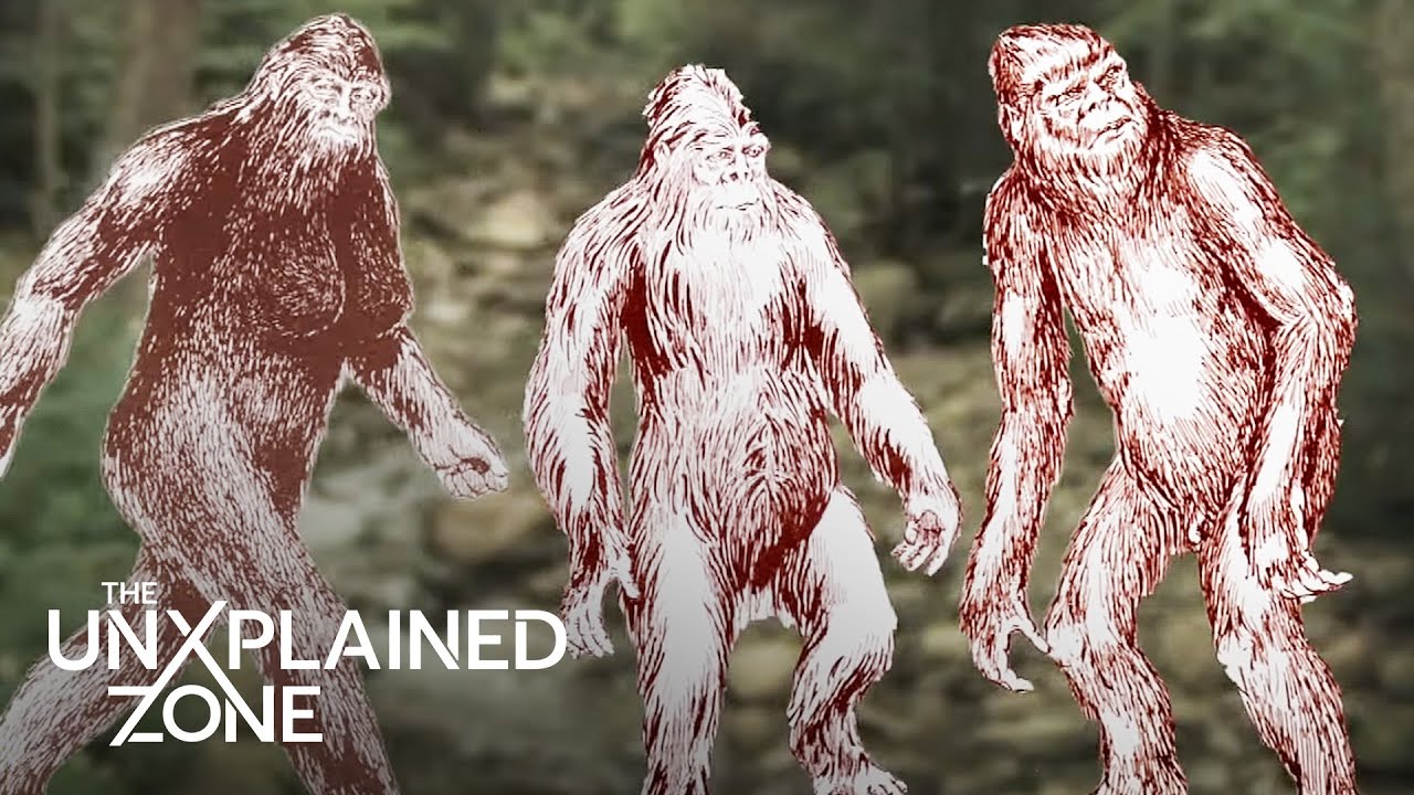Human ABDUCTED By Family of SASQUATCH (S1) | MonsterQuest | The UnXplained Zone