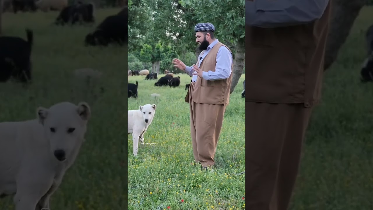 Mala Omer Zaxoli Dua