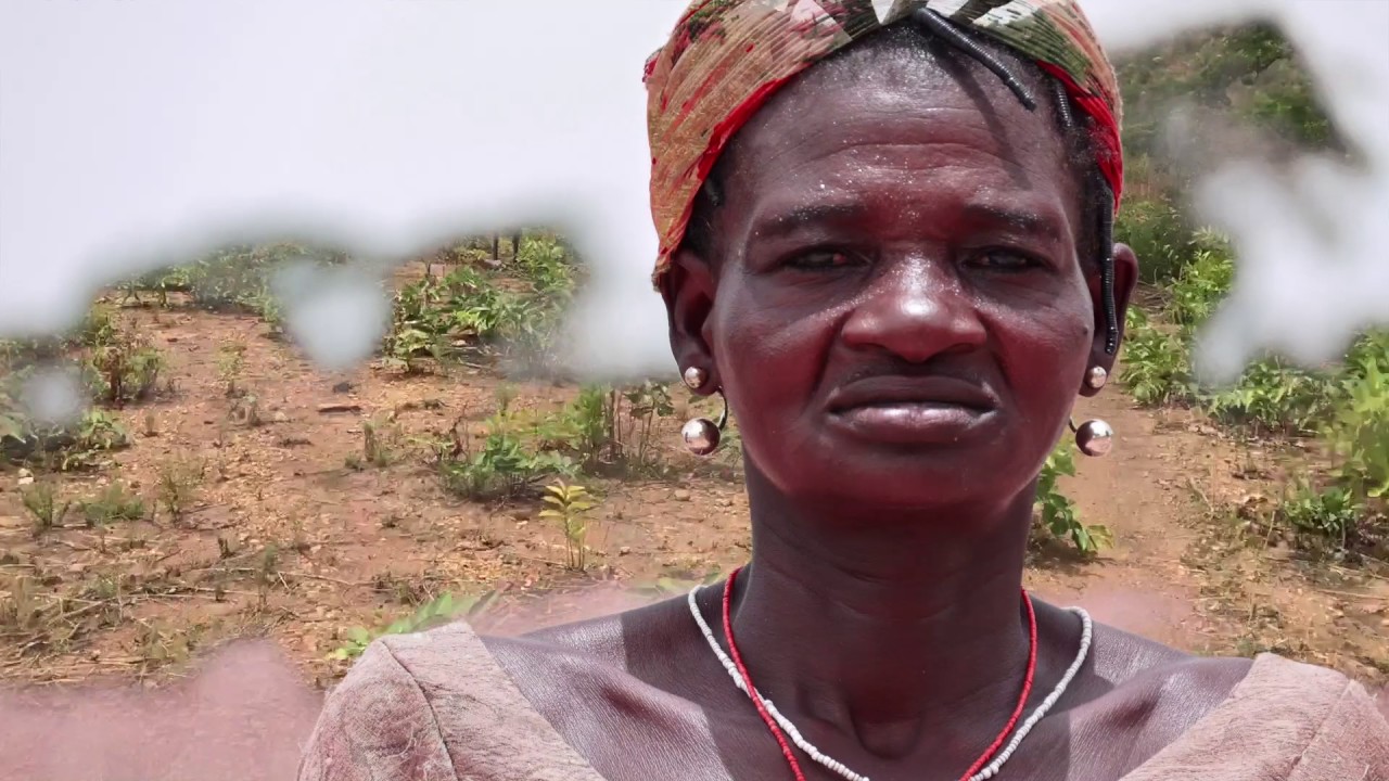 DNPLS Moto - pays Tamberma et Atakora