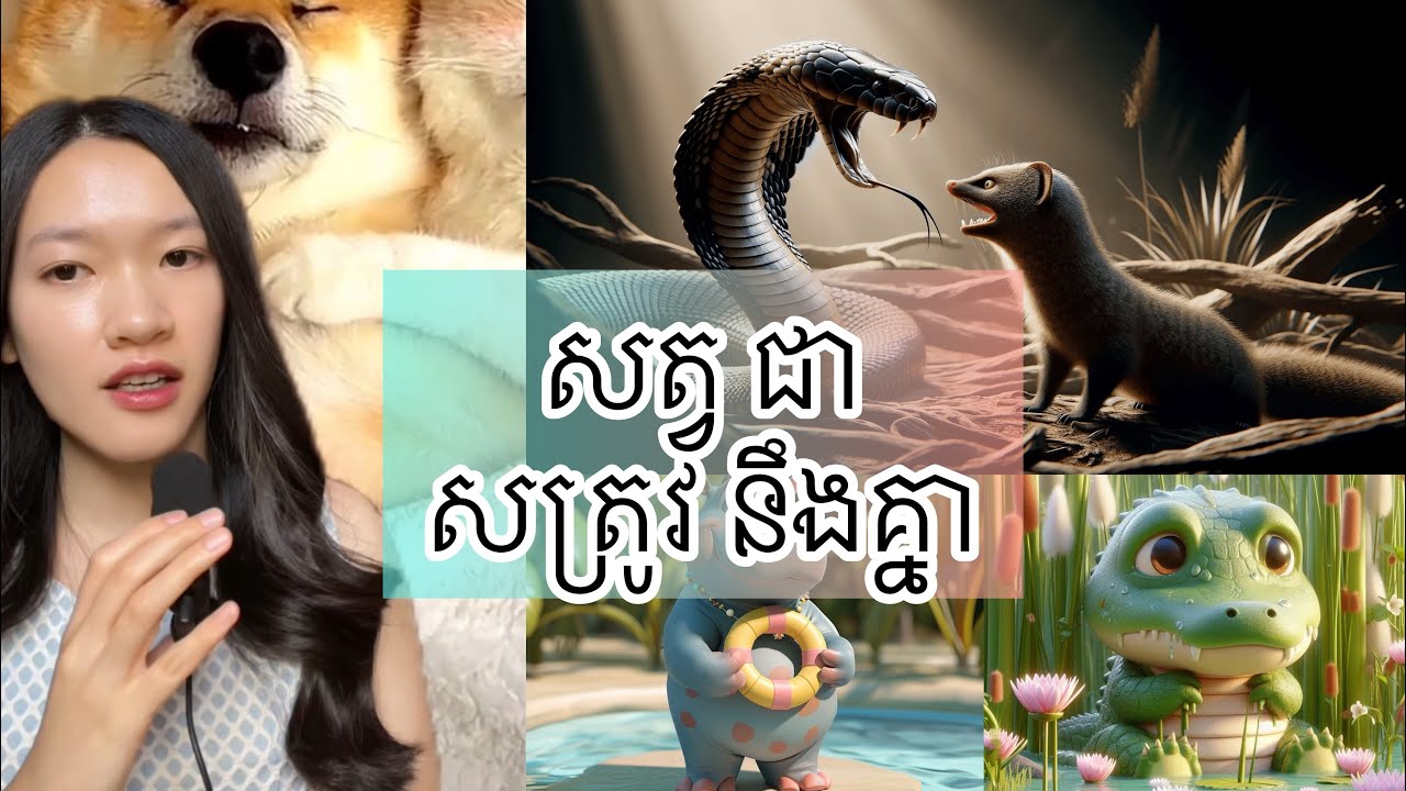 សត្វ ជា សត្រូវ នឹងគ្នា - Animal that hate each other