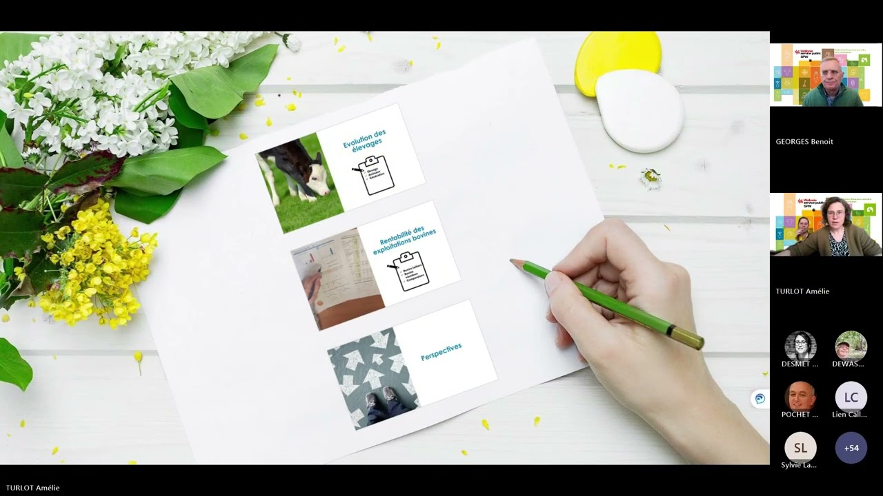 Agri-webinaires saison 3 - Episode 2 : Elevage en Wallonie : chiffres clés et perspectives !
