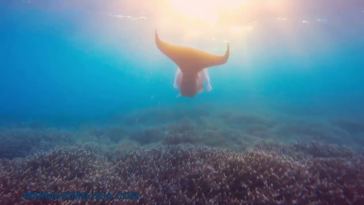 Real Life Mermaid Melissa swimming across the Great Barrier Reef in Australia 🪸 🧜‍♀️ Sea Goddess 🌊