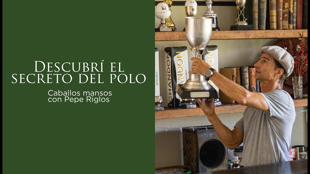 Descubrí el secreto del polo: Caballos mansos con Pepe Riglos