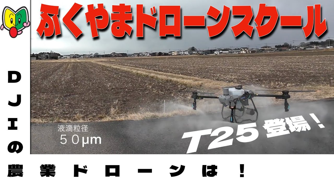 T10とT25の大きさ比較