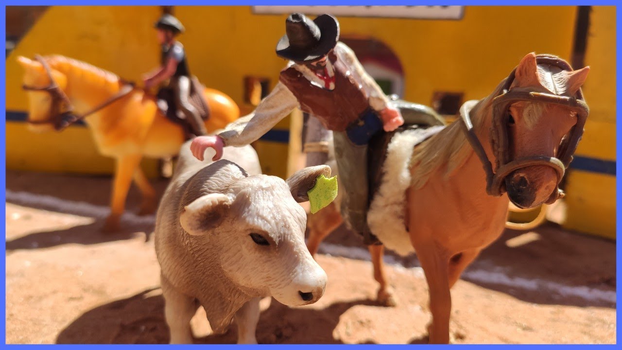 INCRÍVEL VAQUEJADA DOS INSCRITOS #chapeudogato