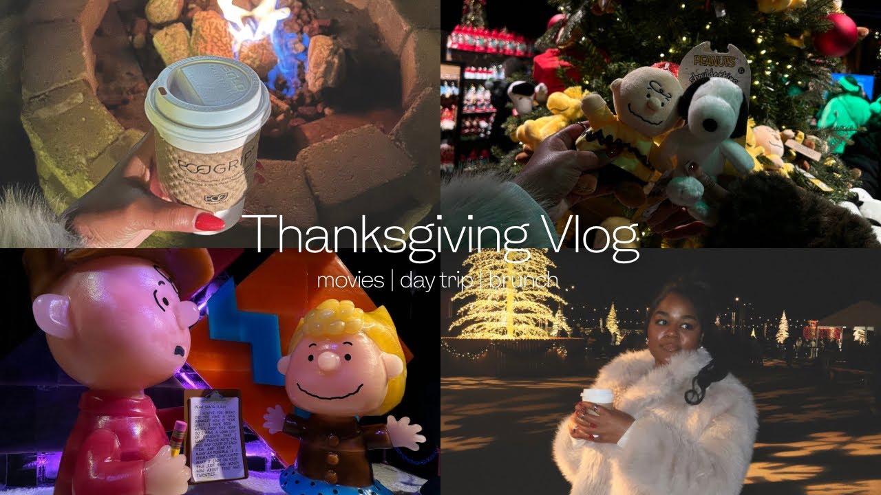 Thanksgiving Weekend | Movies | Day Trip | Saturday Fun