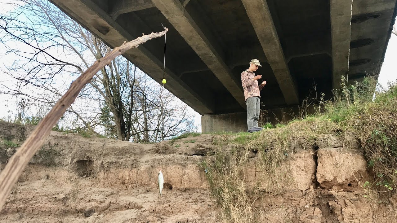 Pesca de Mojarras Gigantes en invierno. LA MEJOR CARNADA para Pejerrey