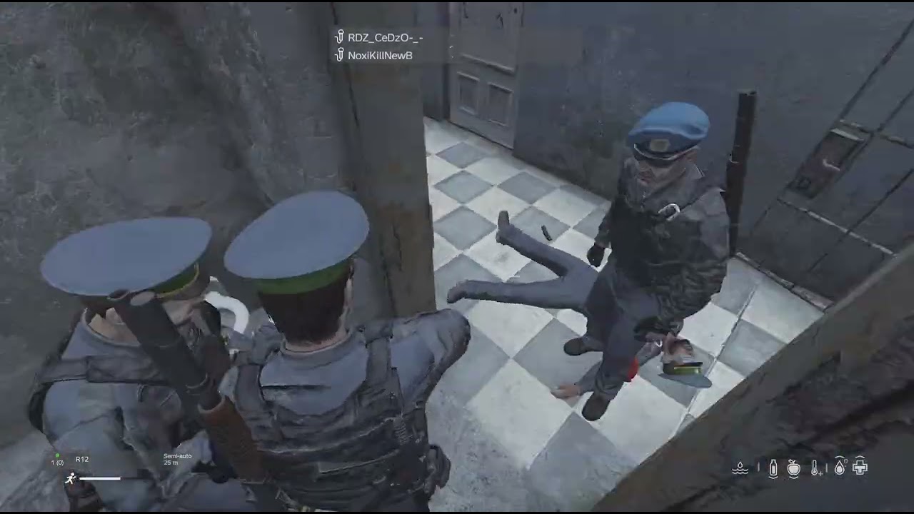 DayZ_20260201143044