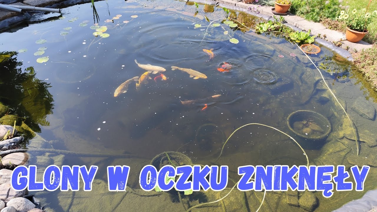GLONY W OCZKU ZNIKNĘŁY !!!