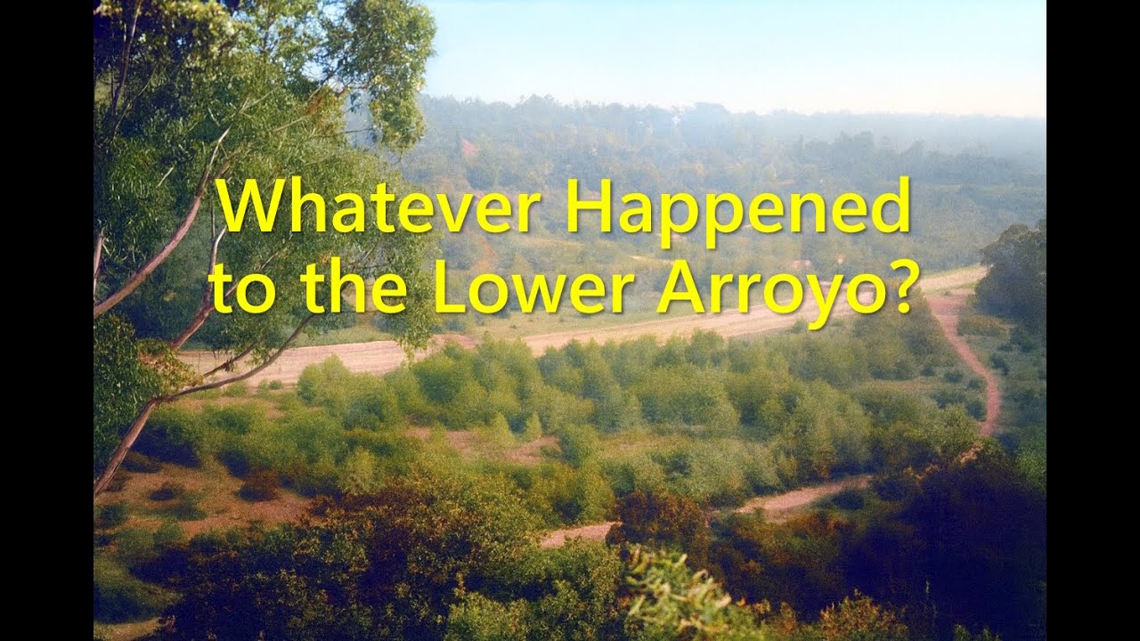 Whatever Happened to the Lower Arroyo