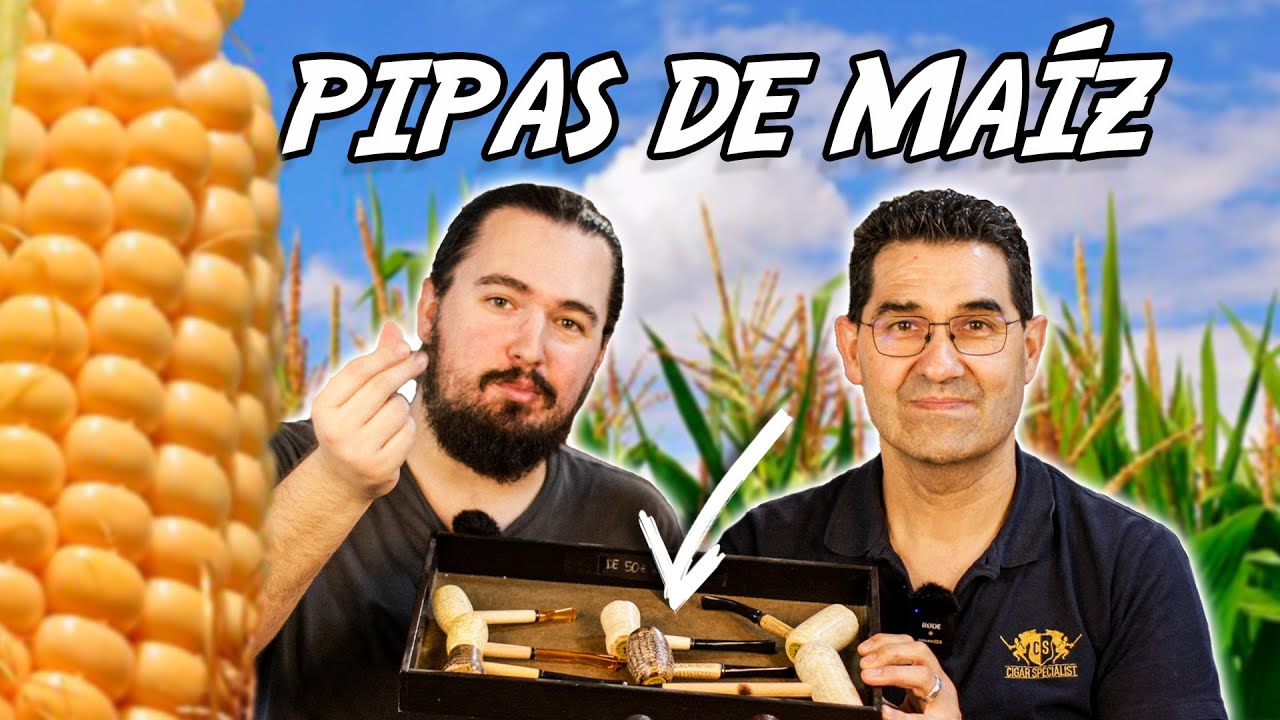🌽 La mejor PIPA BARATA para EMPEZAR | PIPAS de MAÍZ o Corn Pipe | Cigar Specialist