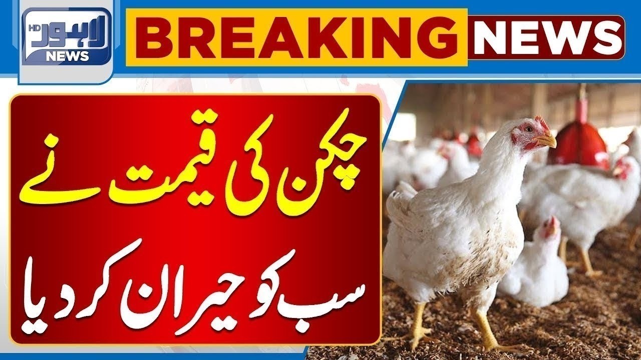 Latest Chicken and Egg Prices Revealed | Citizens React to Market Rates | Breaking News