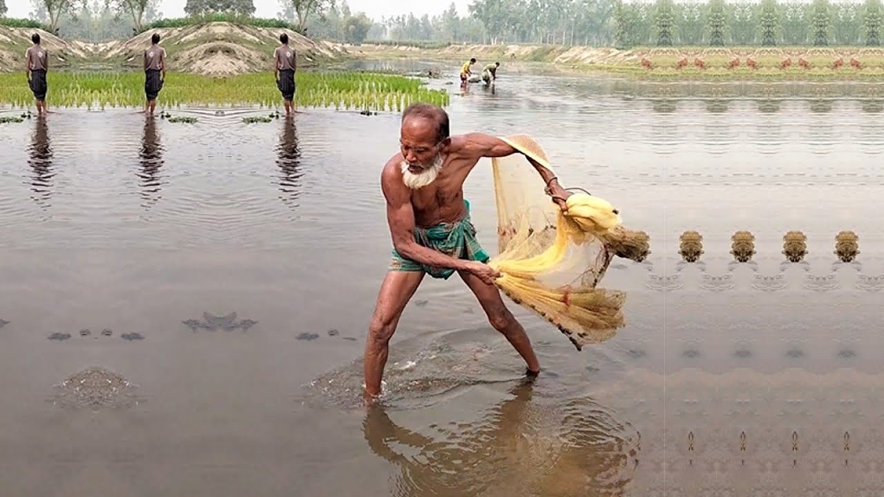 Amazing Fishing by Village Fisherman - Traditional Fishing With Net