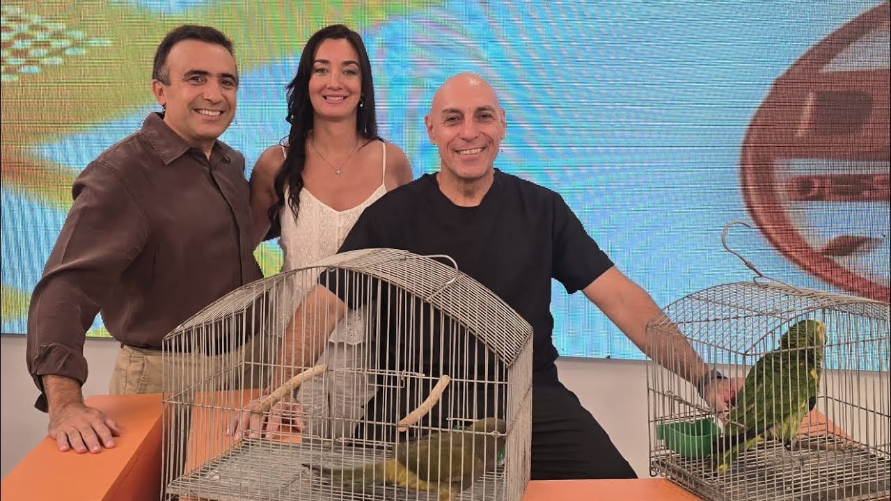 Aldo Pirata Olivares nos habla de la psitacosis y el riesgo de contagio a las personas 