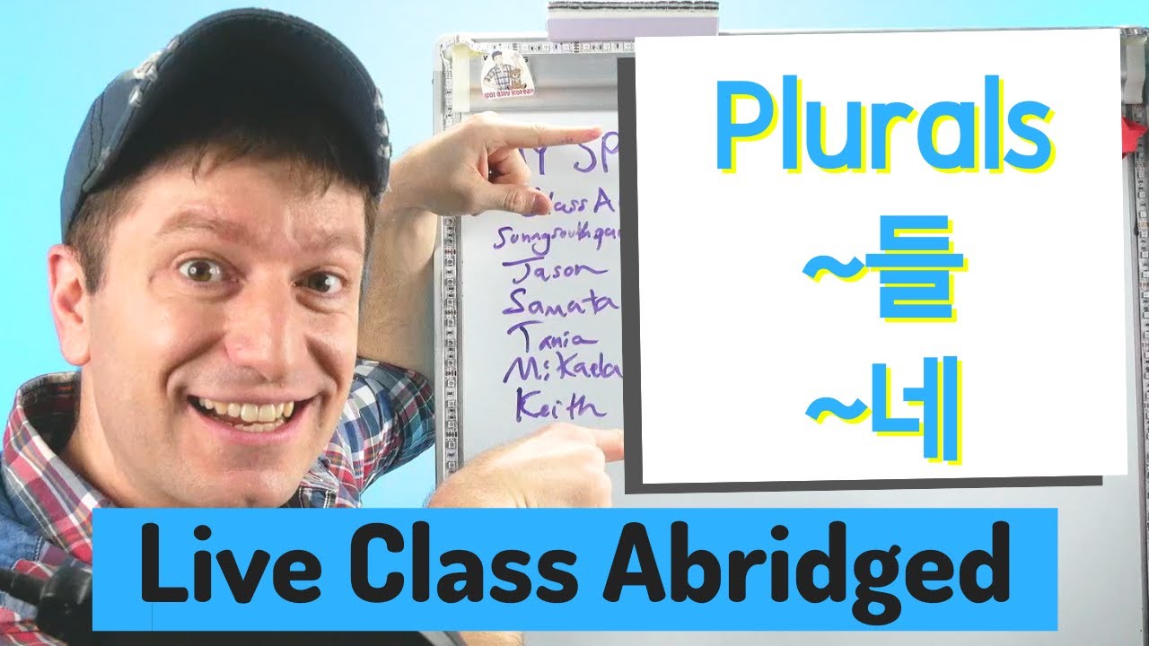 Plurals ~들 ~네 | Live Class Abridged