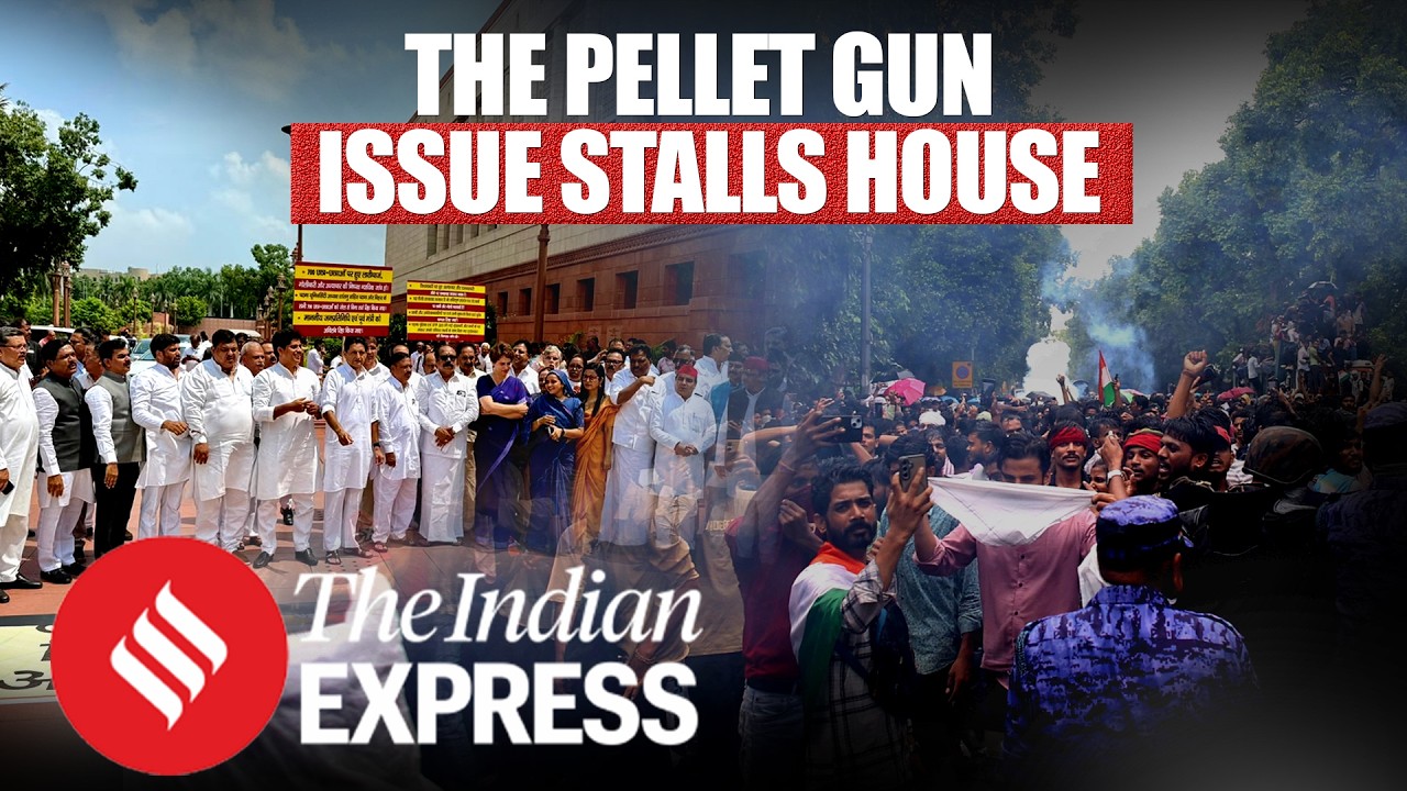 Five Points: Why the pellet issue is stalling Parliament & why it matters