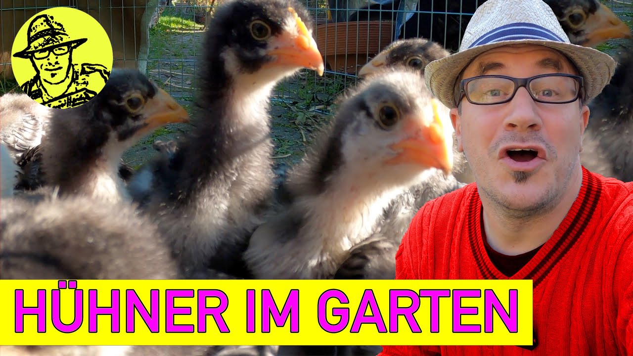 Hühner für die Selbstversorgung (Doku) / Michael Truppe will ein Haustier / Küken selber ausbrüten
