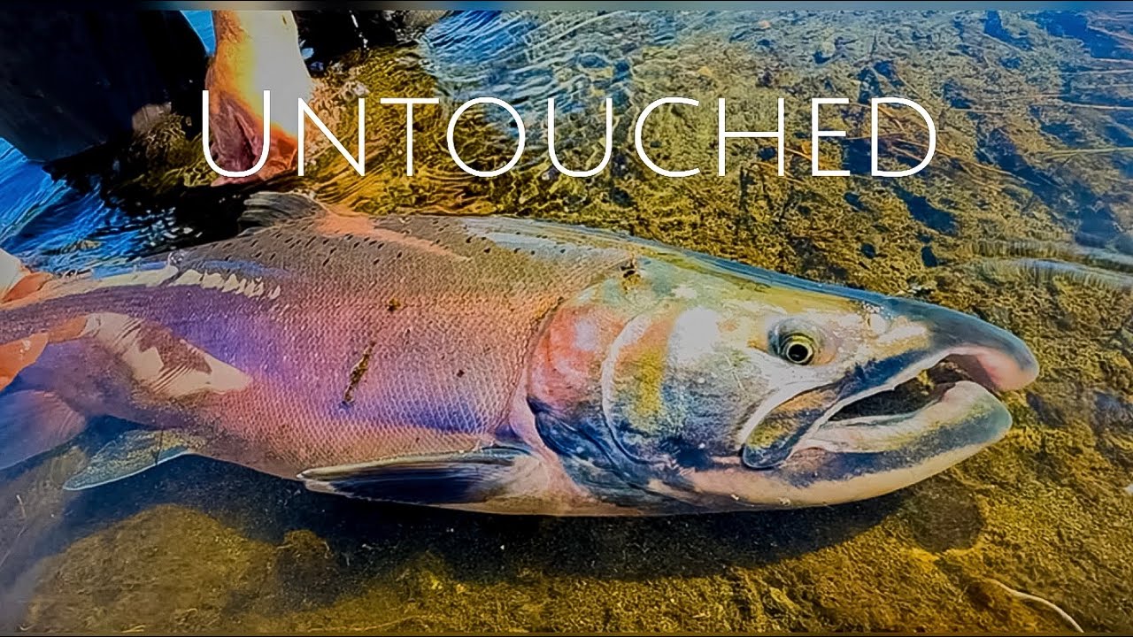 Untouched | Fly Fishing Yakutat, Alaska
