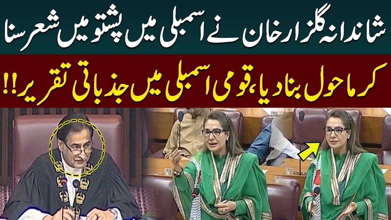PTI Shandana Gulzar Emotional Speech In National Assembly   Public News