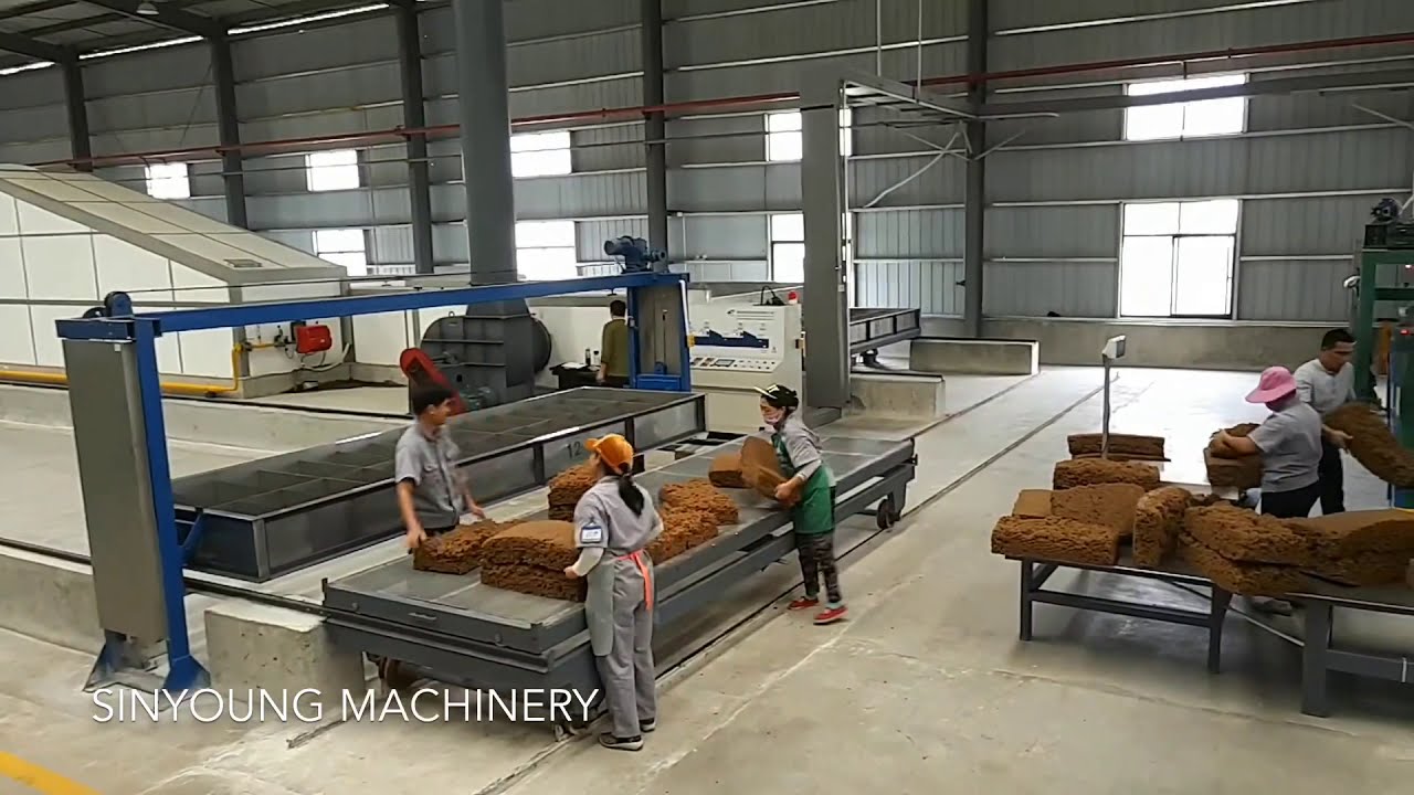 SINYOUNG rubber auto packing line