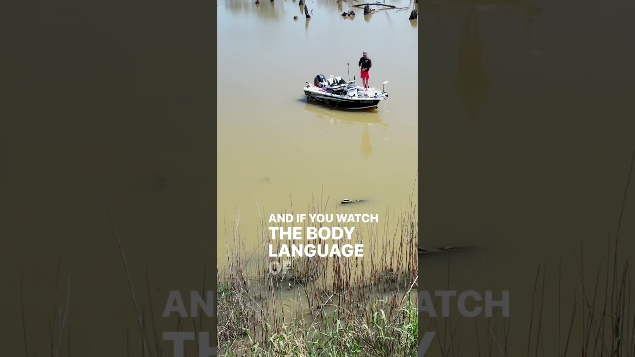 HOW TO catch a CARP on FLY