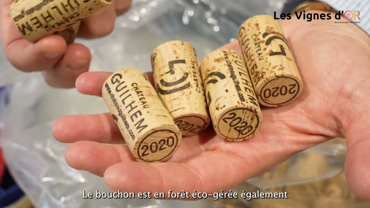 Vignes d'OR 2023 - Lauréat de la catégorie Packaging-Marketing