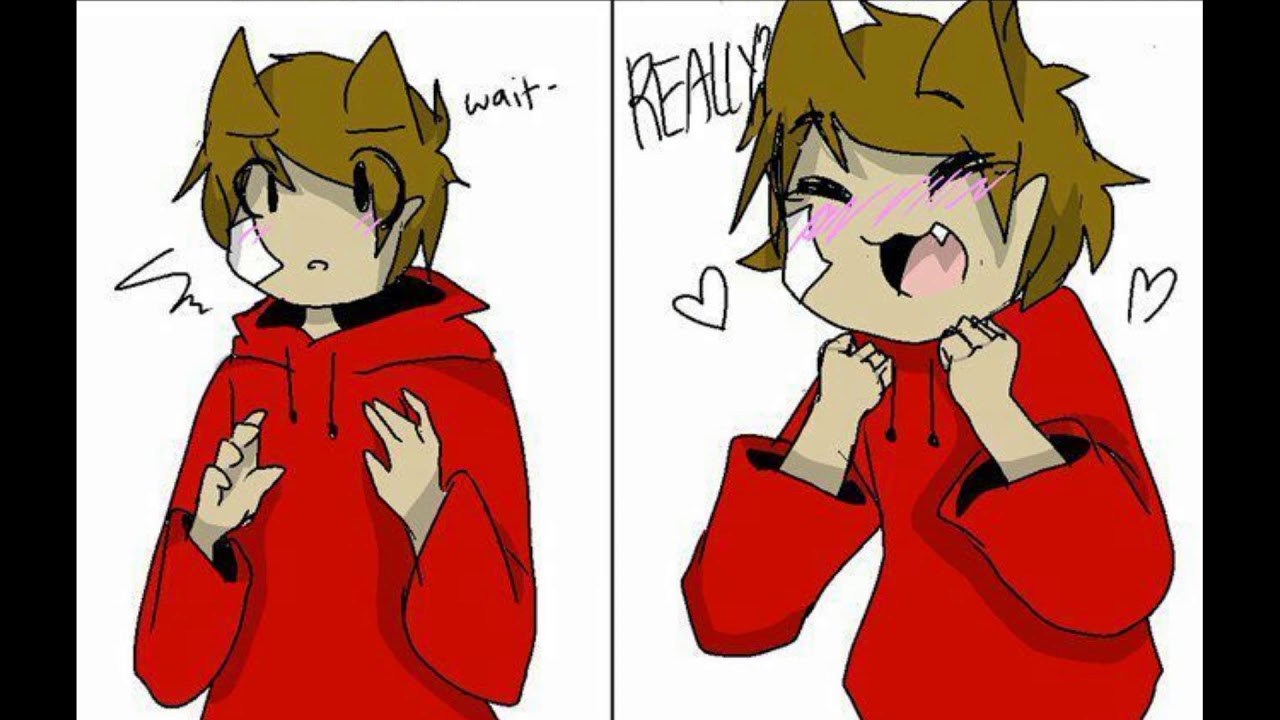 || TomTord comics || Eddsworld || Dedicated to: Nikki_ Chan || Mein Zarx ||