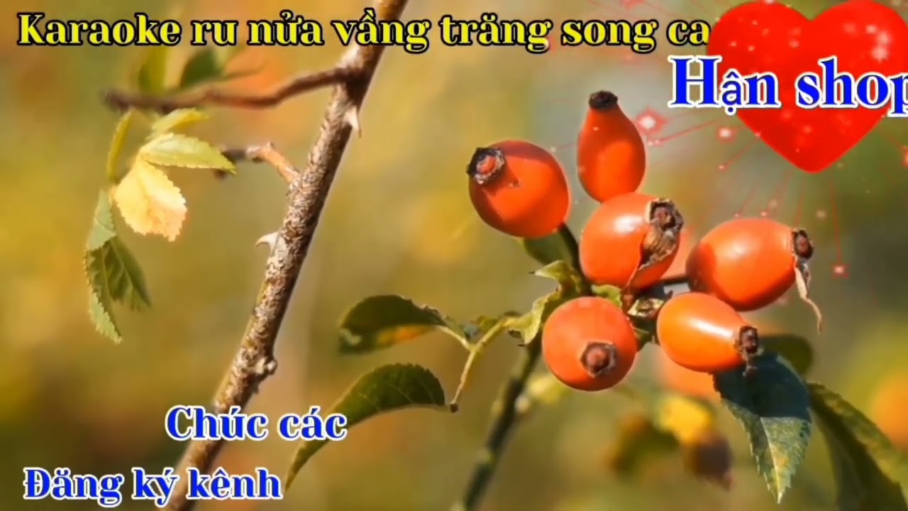 Karaoke ru nửa vầng trăng song ca sáng tác Huy Phương. @Hankaraokemedia