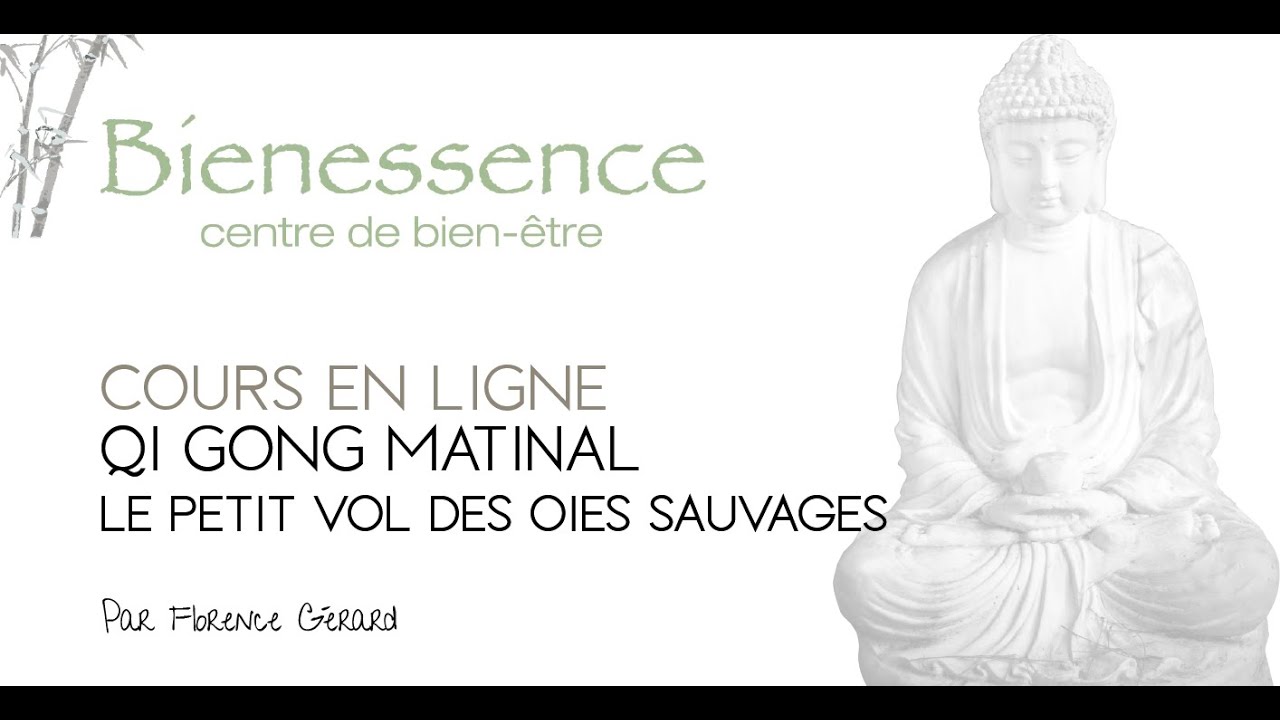 QI GONG MATINAL - Le petit vol des oies sauvages