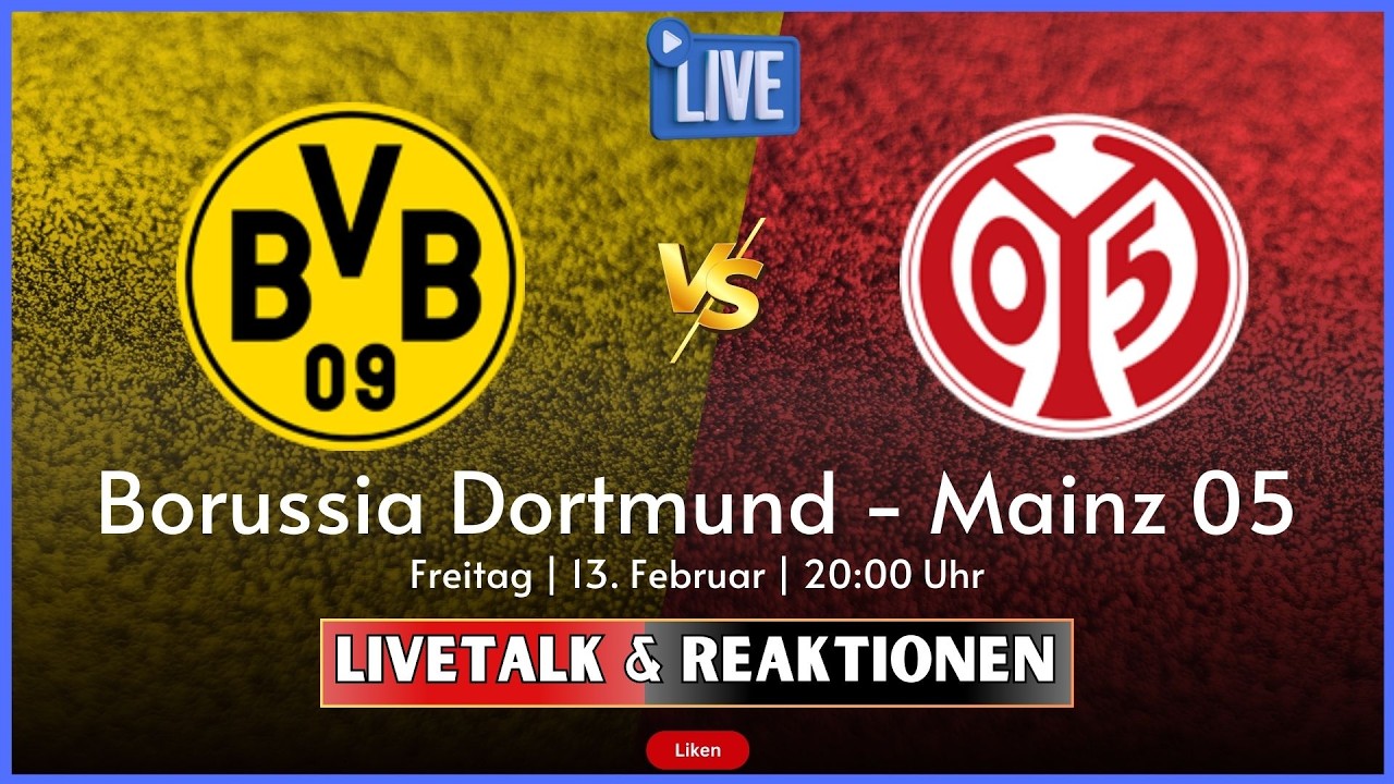 🔵22. Spieltag | 1.Bundesliga | Borussia Dortmund  - Mainz 05 | Handy FORMAT |