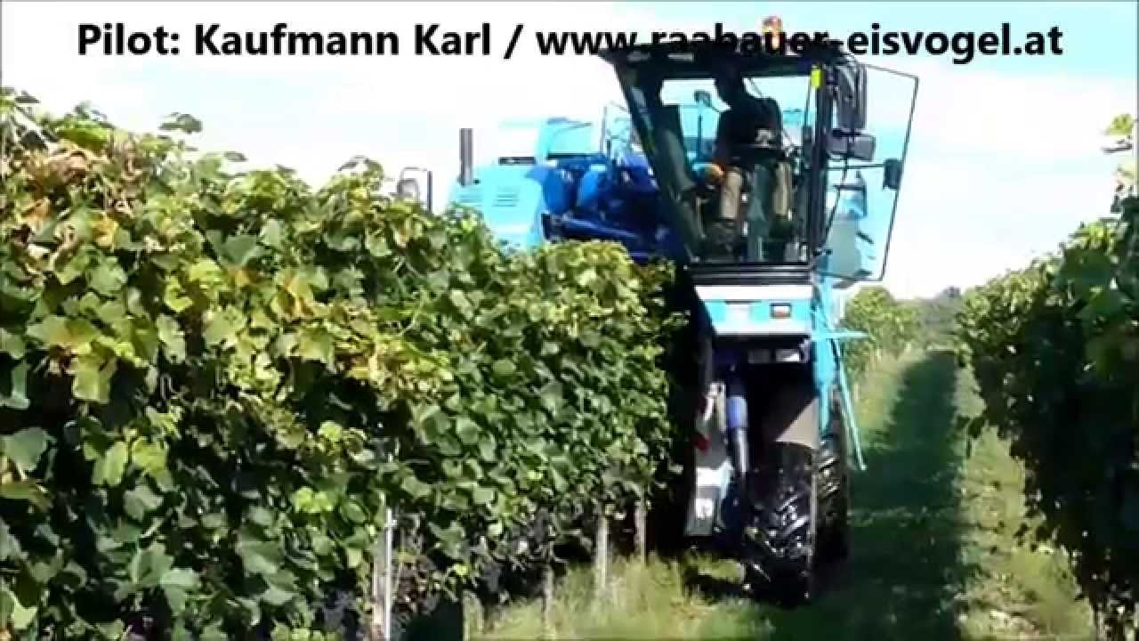 Braud SB 64 - maschinelle Weinernte - Weinlese - Vorfuehrung