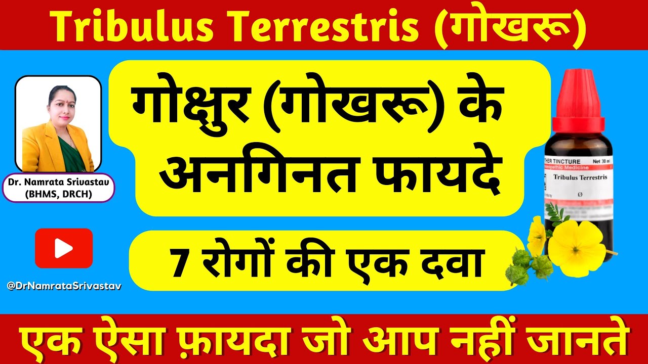 Tribulus Terrestris 6,30,Q Homoeopathic medicine Symptoms|How to use| #DrNamrataSrivastav