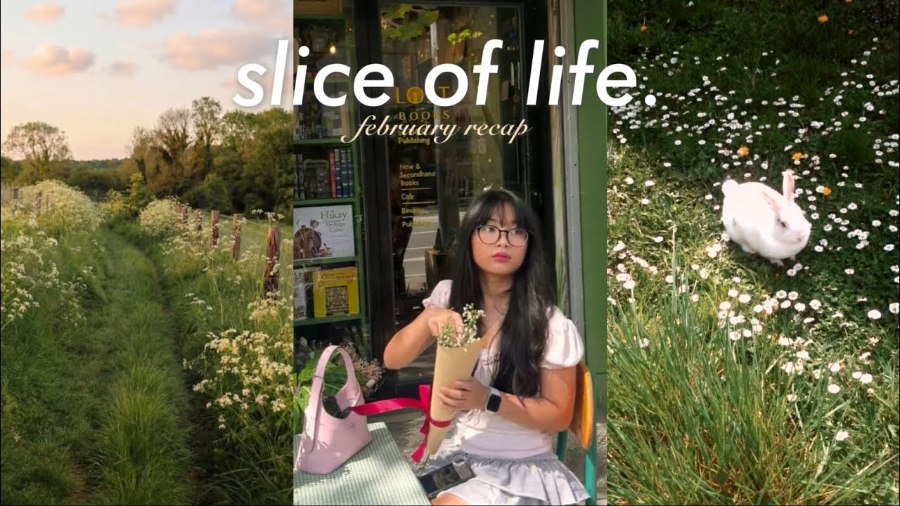 feb recap 💐: guitar, romanticizing life, piano, dubai chewy cookie 🤤, nature, valentines, haircut!