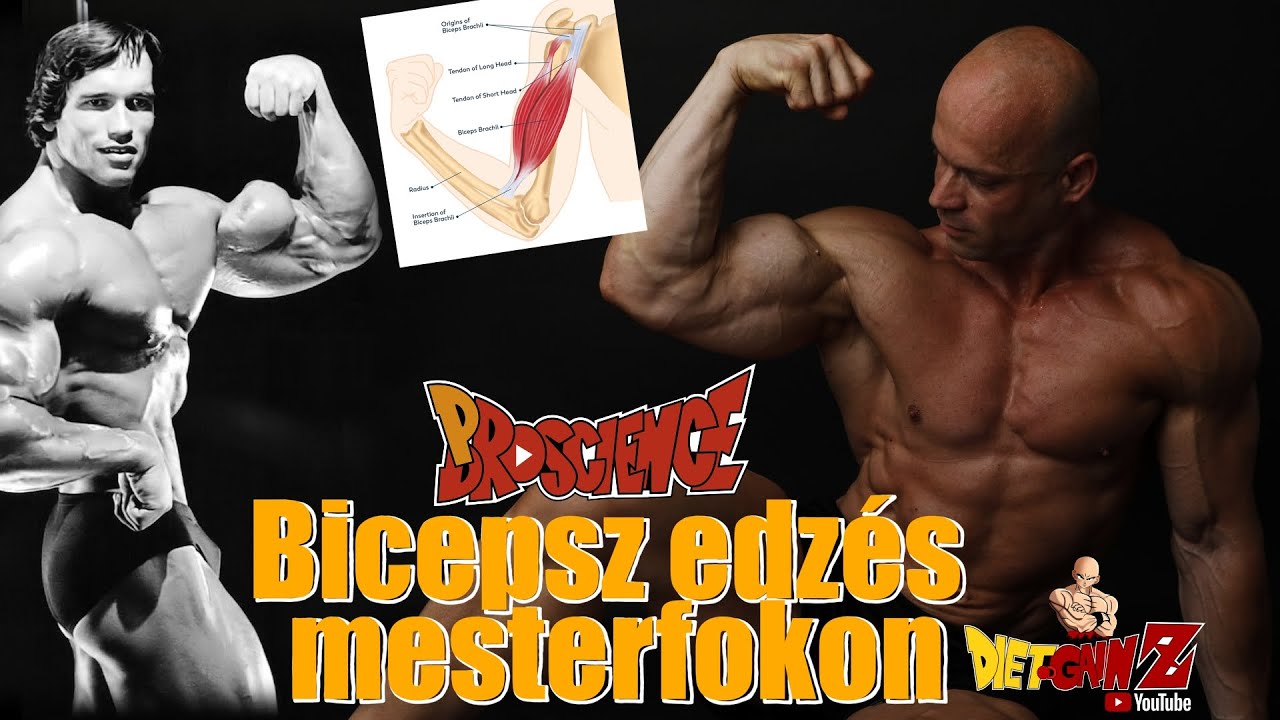 Bicepsz edzése mesterfokon - Proscience