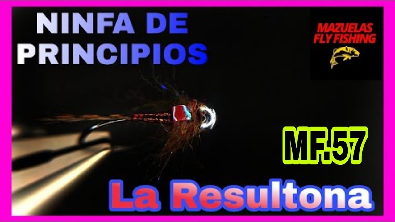 ⏩Ninfa de betido.Principio temporada.⚡LA RESULTONA⚡