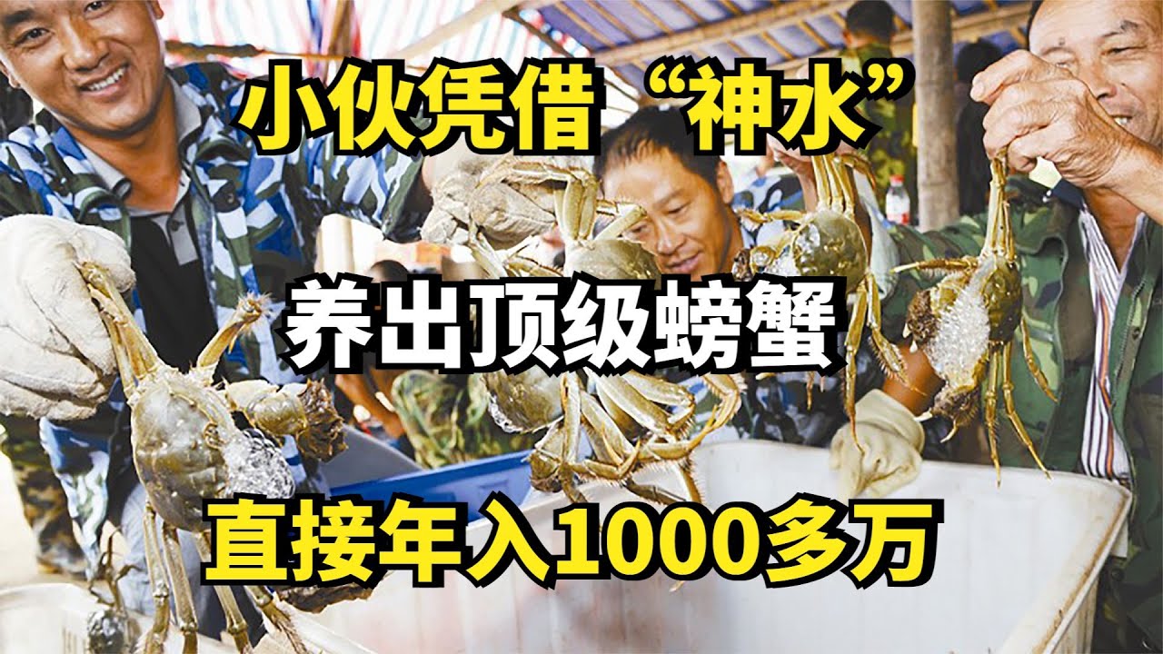 养殖顶级螃蟹的"神器"，小伙靠这种"神水"，直接年入1000多万!
