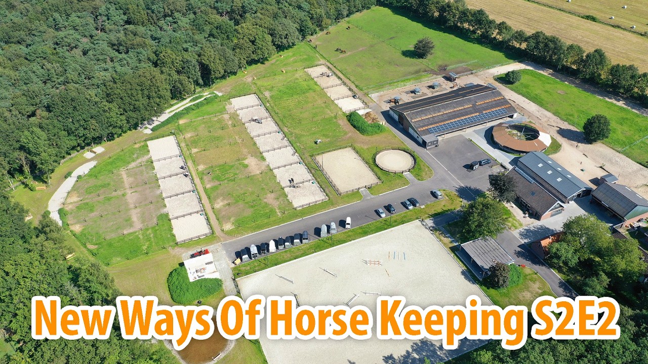Eventing horses in a SporthorseParadise & HIT-active stable! 🐎 S2E2