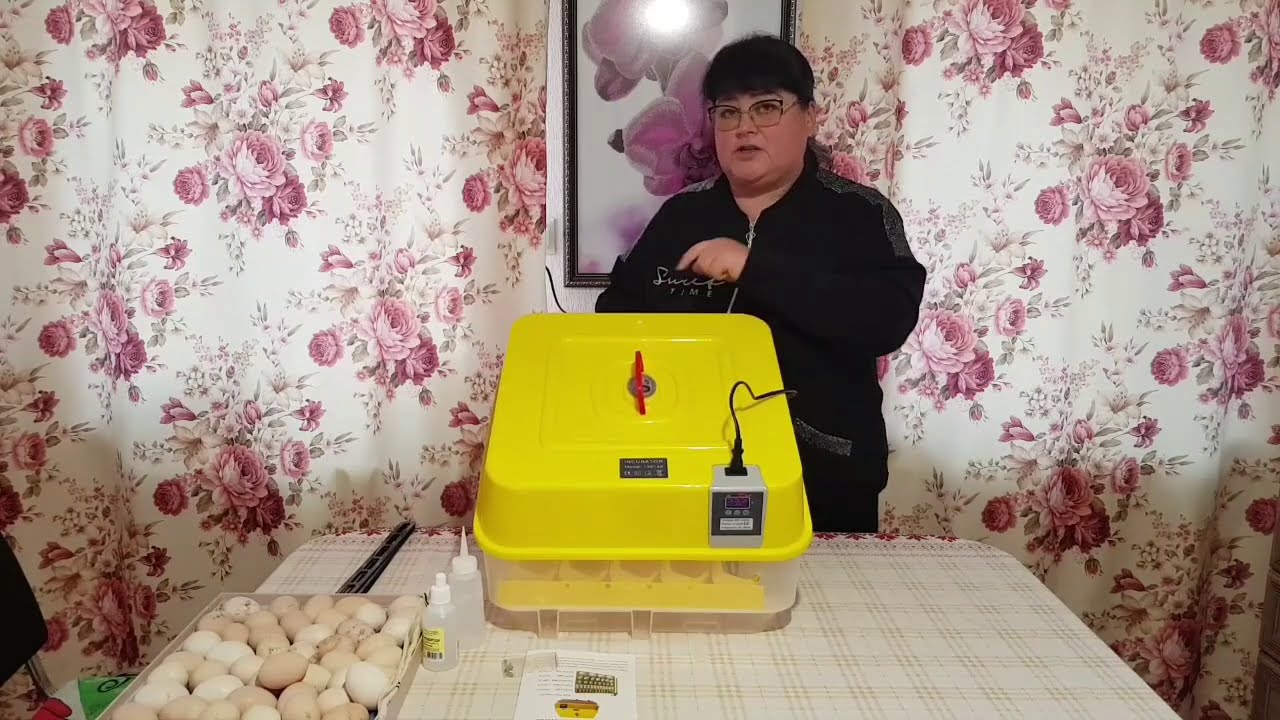 Ейск🌹Живем уже год на Кубани. Инкубатор "JANOEL" 42 Обзор , закладка яиц.