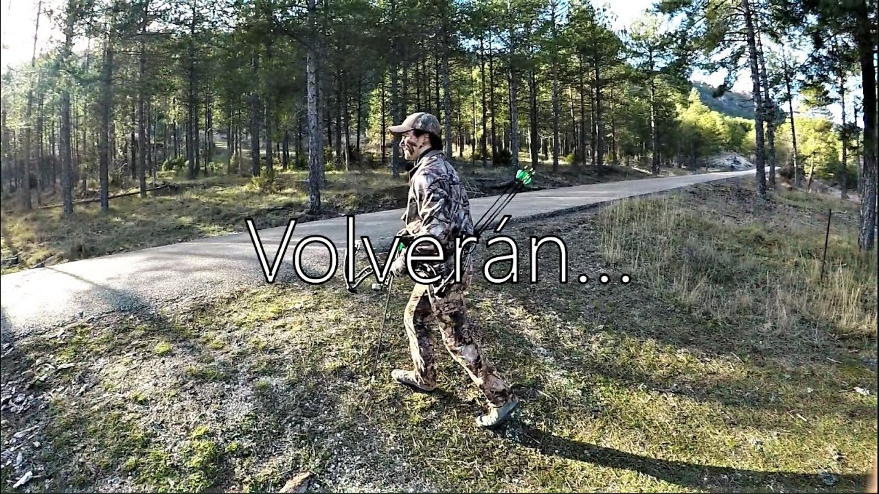 VOLVERÁN