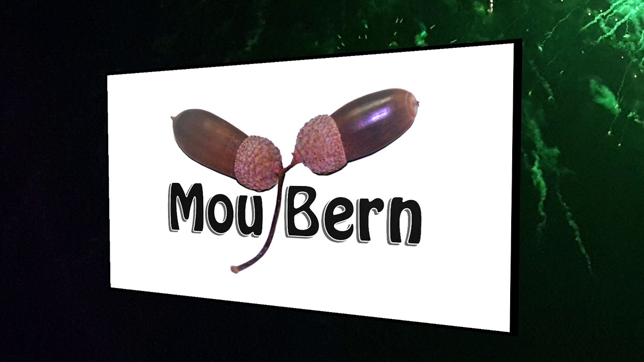 Mou Bern 2017 HD