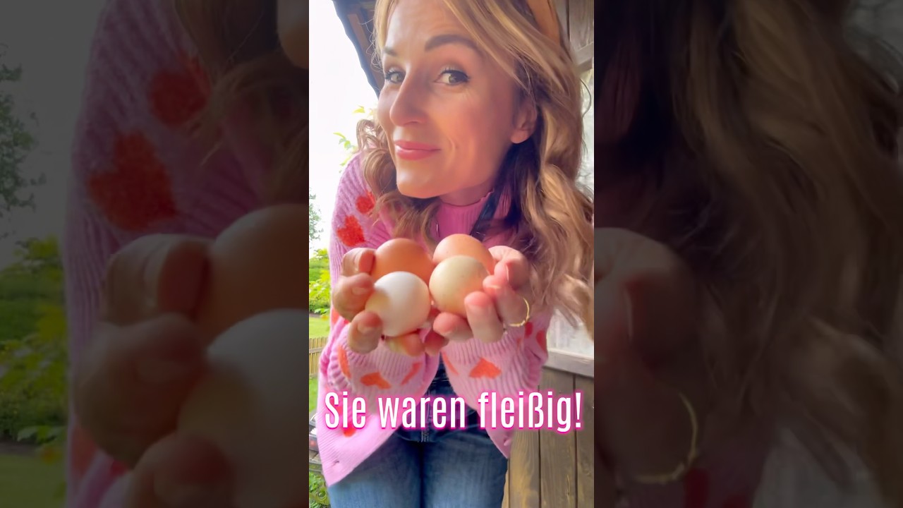 Vlog Time #vlog #vlogging #bauernhof #h&uuml;hner  #tiere  #vlogger