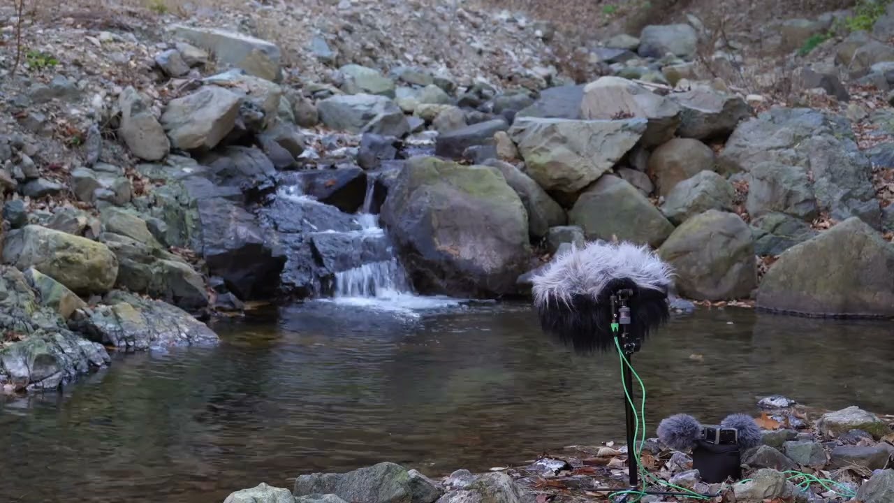 늦가을 무장산의 맑은 계류 소리 | Whispering Stream ASMR