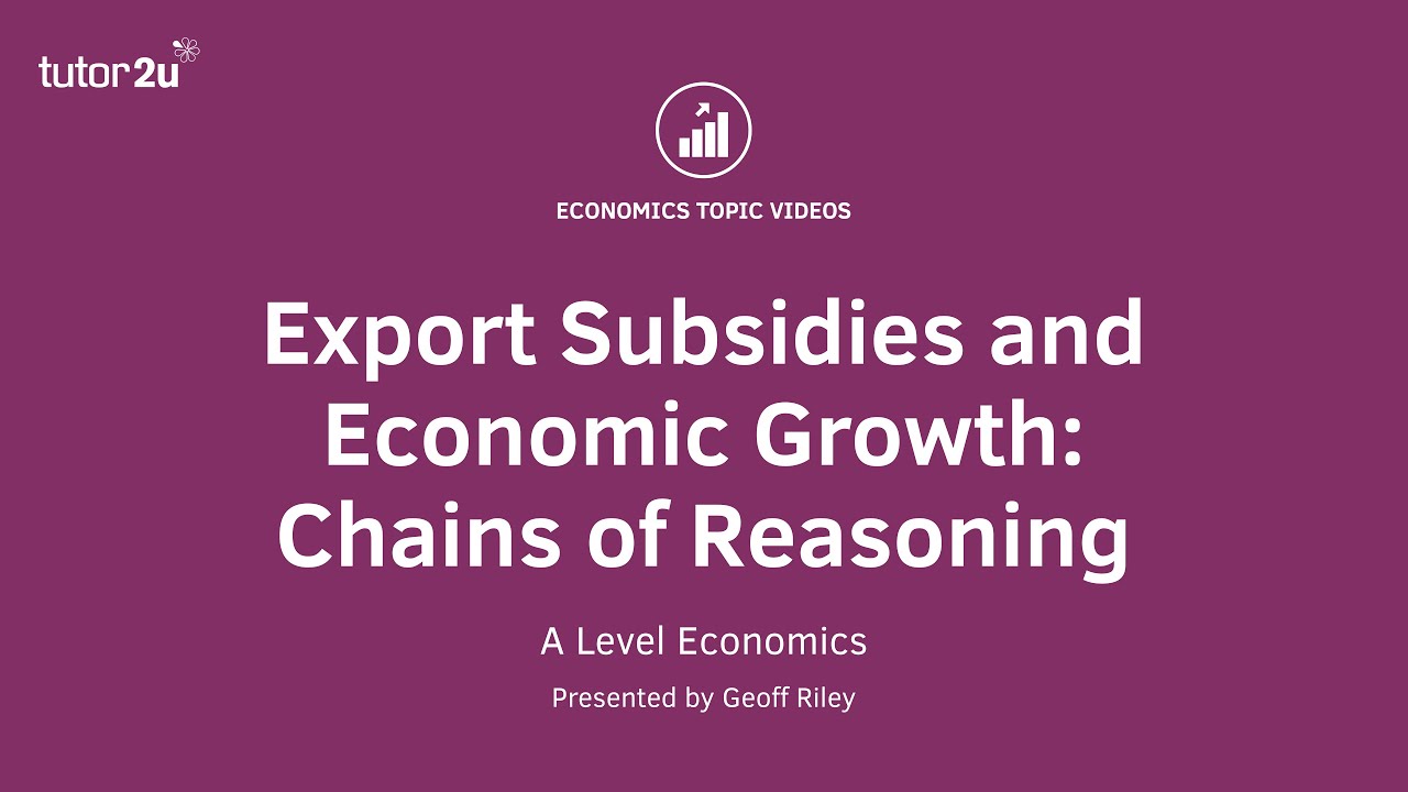 Export Subsidies and Economic Growth - Chains of Reasoning