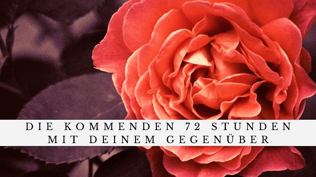 Dein Gegenüber und Du | 72 Stunden Orakel | Eine Liebeschance kommt auf dich zu | Entschiedenheit